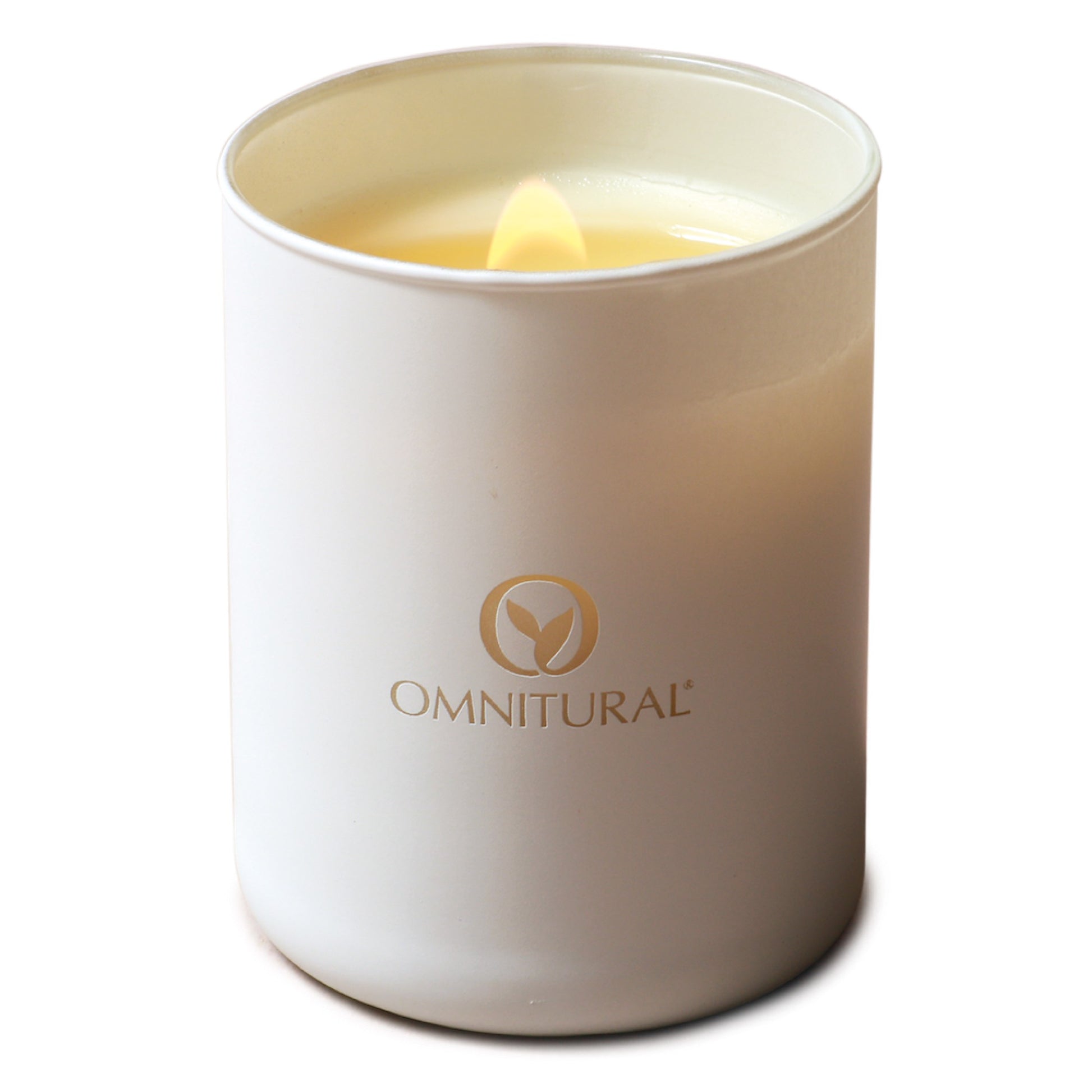 VELA AROMÁTICA DE SOYA - PROVENCA (200 g)